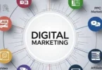 top digital platforms for beginners